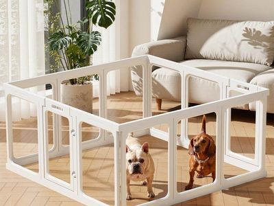 Clear Acrylic Dog Playpen - 50 x 50 Inch, 24" H 12 Panels