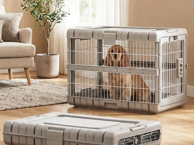 Collapsible Plastic & Wire Dog Crate Portable Folding Pet Kennel Gray