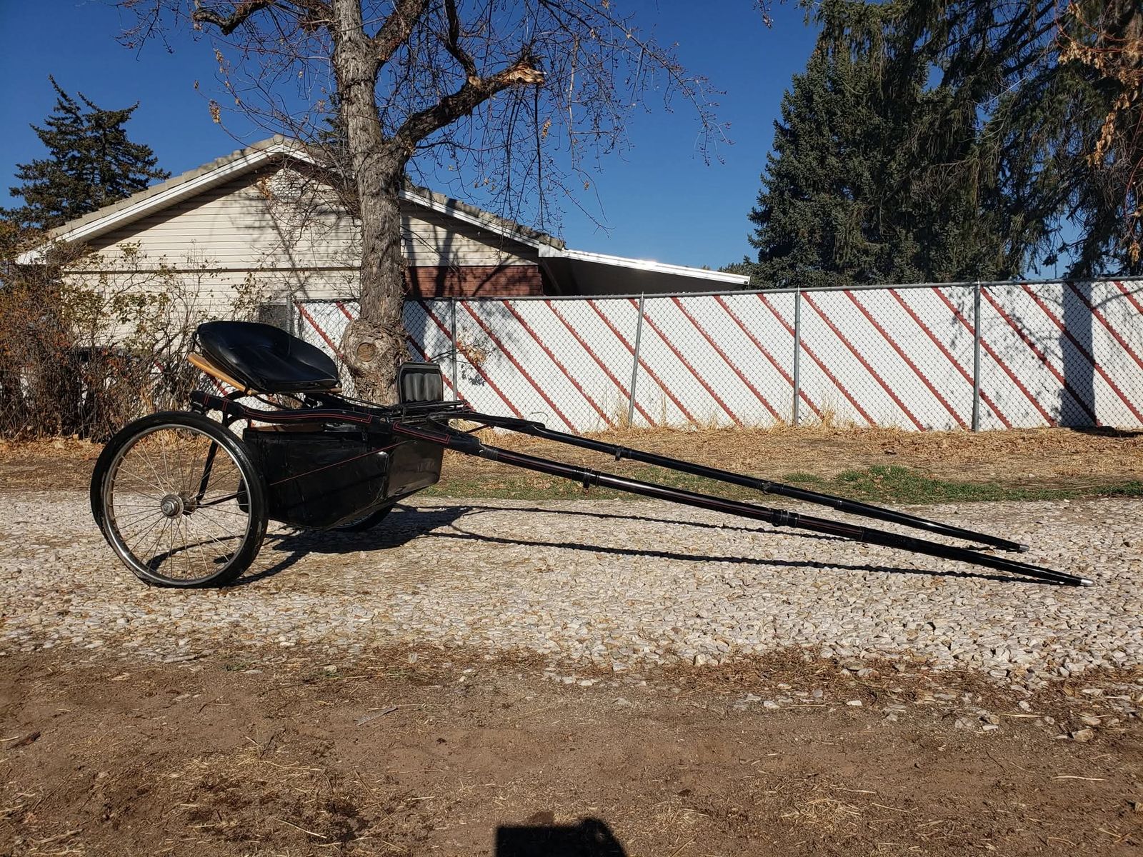 Horse Show Cart and Leather Harness