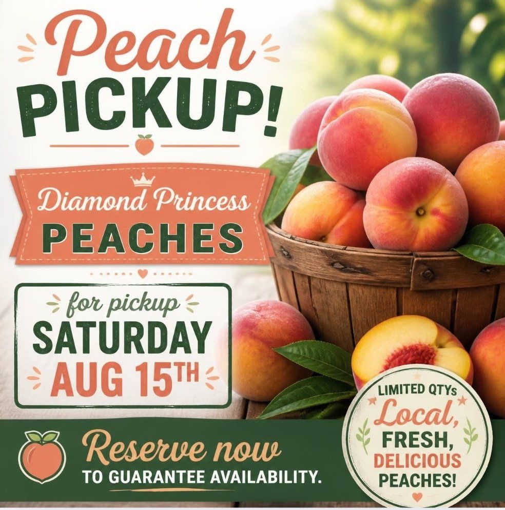 Fresh, local peaches