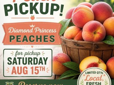 Fresh, local peaches