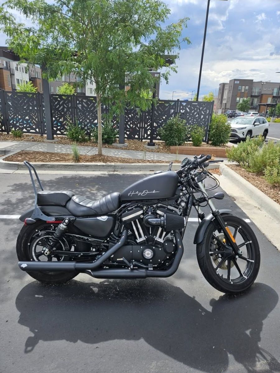 2019 Harley-Davidson Iron 883