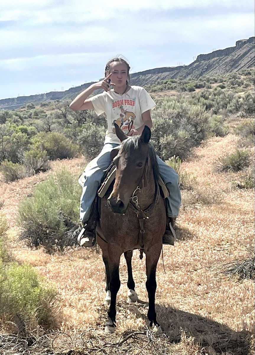 Adorable Roan Mare