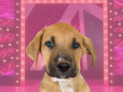 Hello my name is Willi