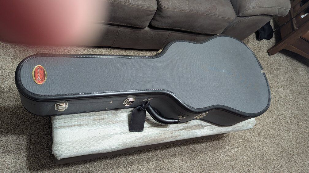 Ameritage Guitar Case