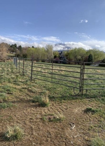 Pasture for rent