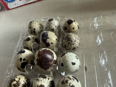 Quail eggs