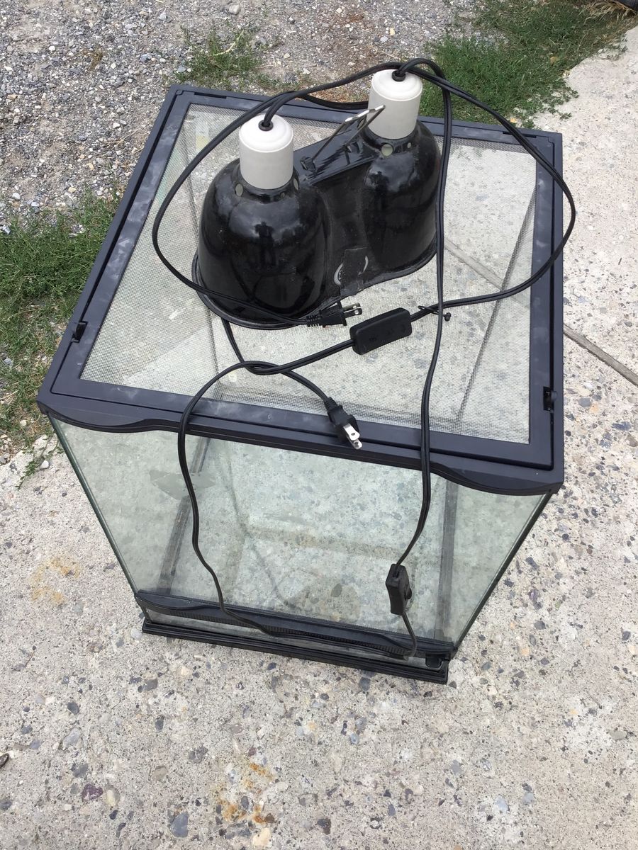 Reptile enclosure with lights