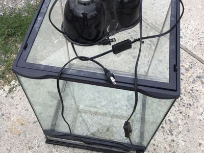 Reptile enclosure with lights