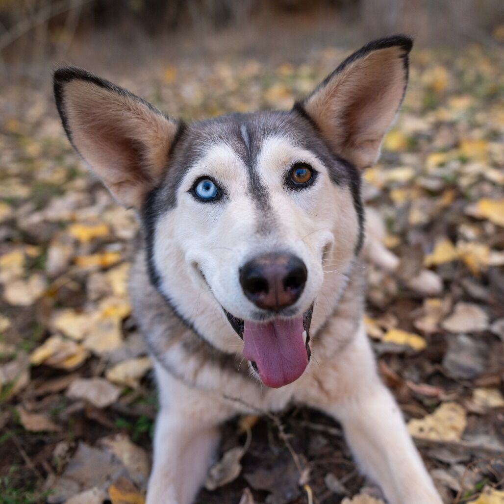 Hello my name is Nina