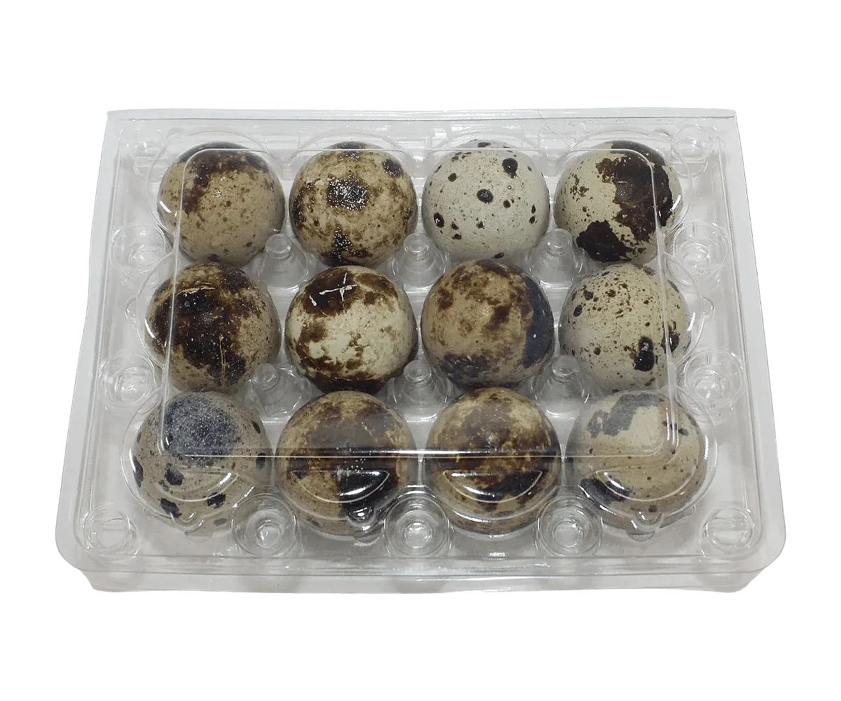 12-cell Jumbo Quail Egg Cartons (3x4)