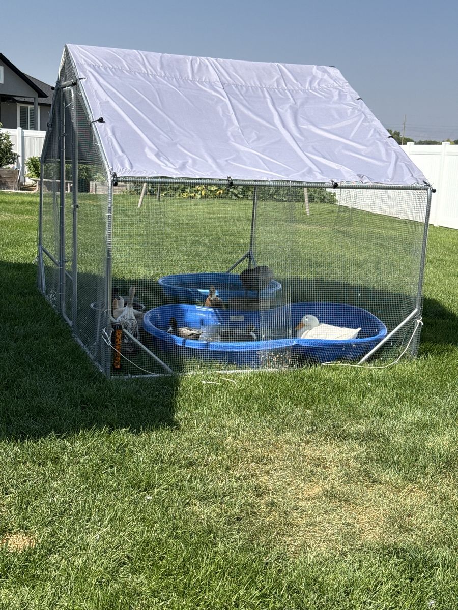 Dog/duck/chicken run enclosure 