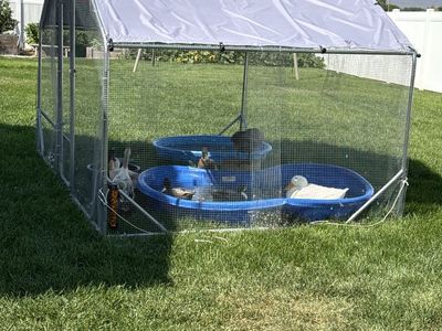 Dog/duck/chicken run enclosure