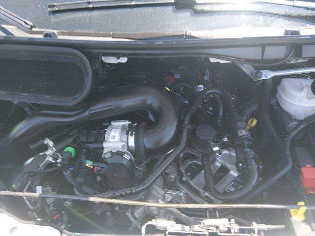 Main image 9