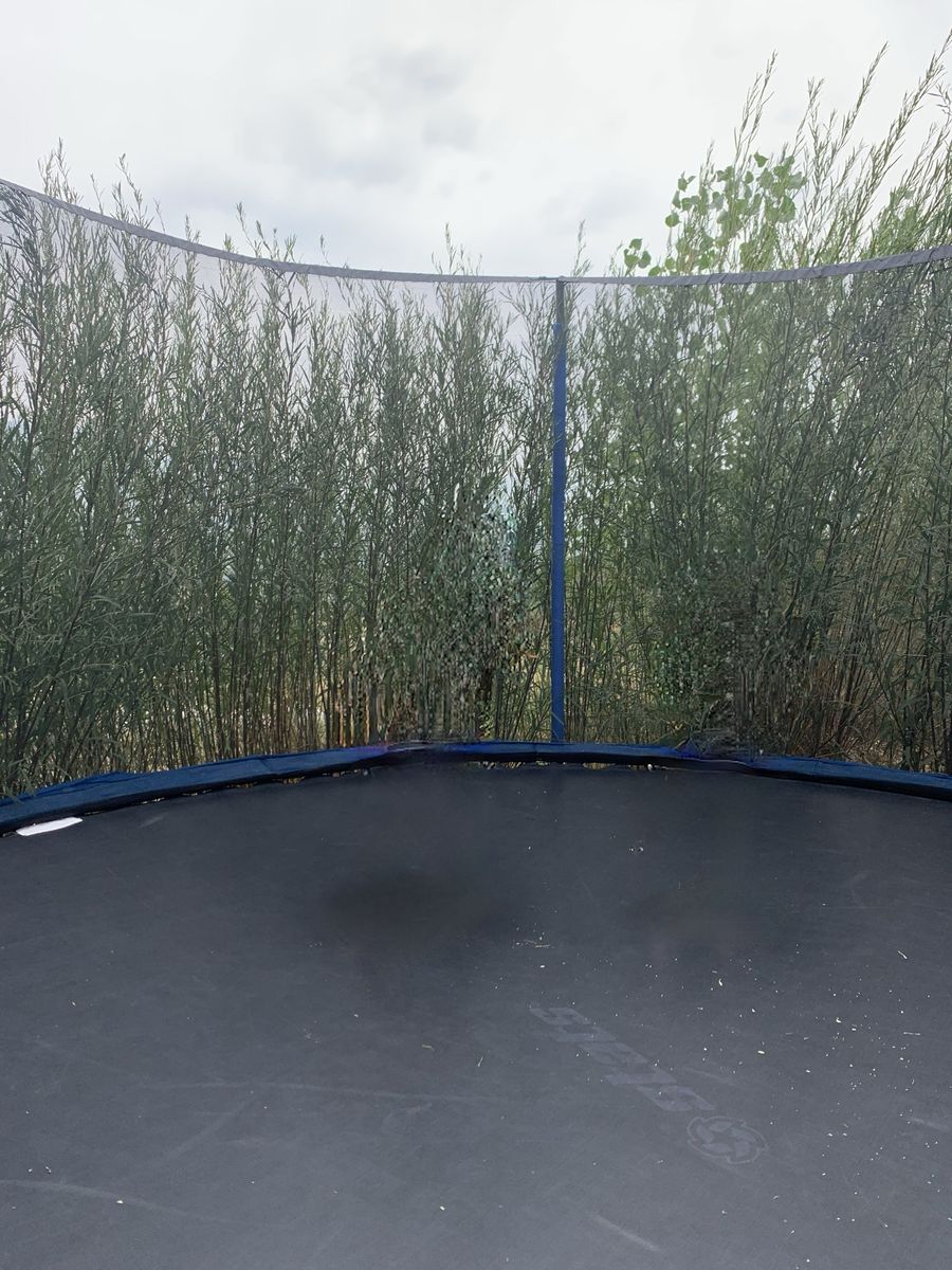 FREE Trampoline and Ring