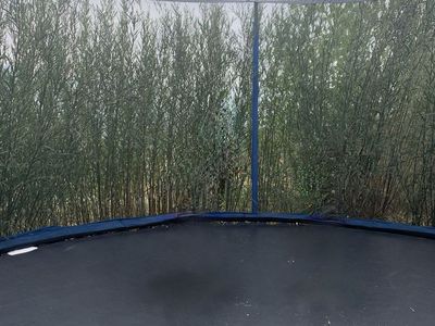 FREE Trampoline and Ring