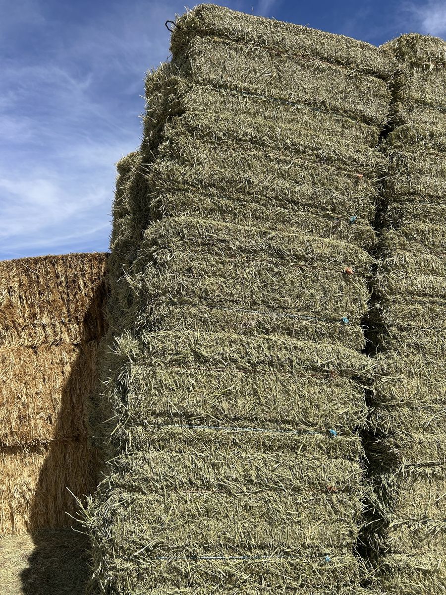Clean, and Green small bales.