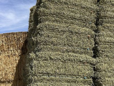 Clean, and Green small bales.
