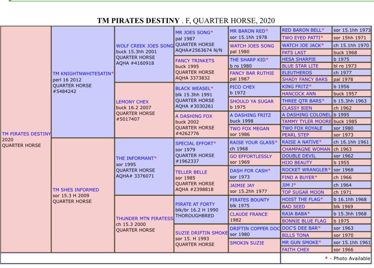 Main image 10