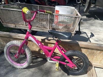 13 Inch Kids Bike