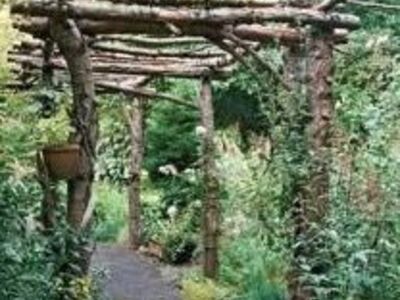 Crafty Wood And Branches