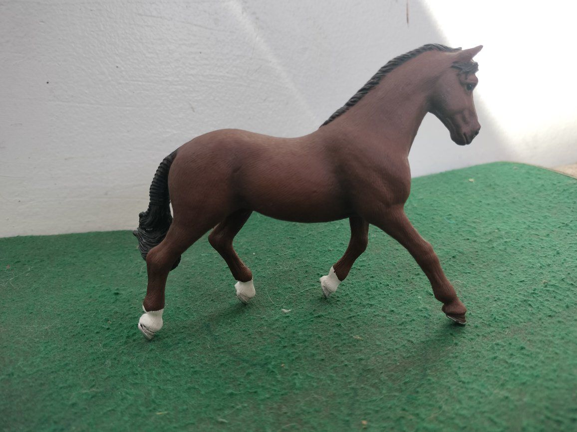 Main image 7