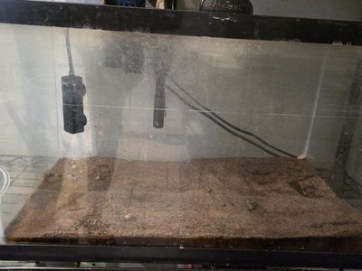 Ten Gallon Aquarium - No Leaks