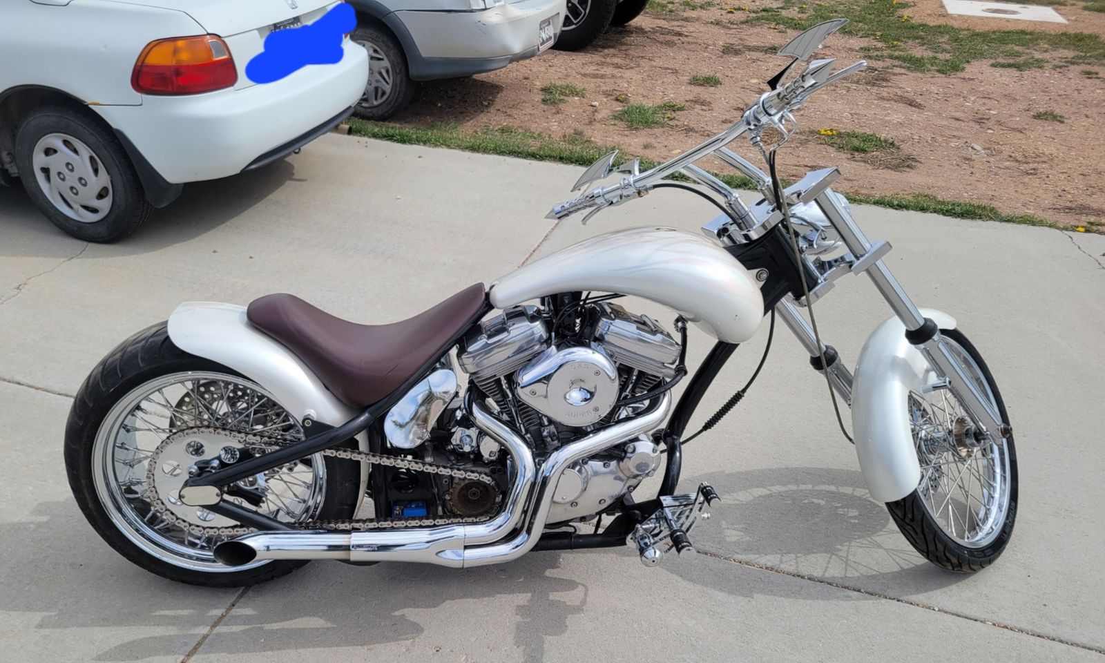 2007 Custom Pro Street Sportster