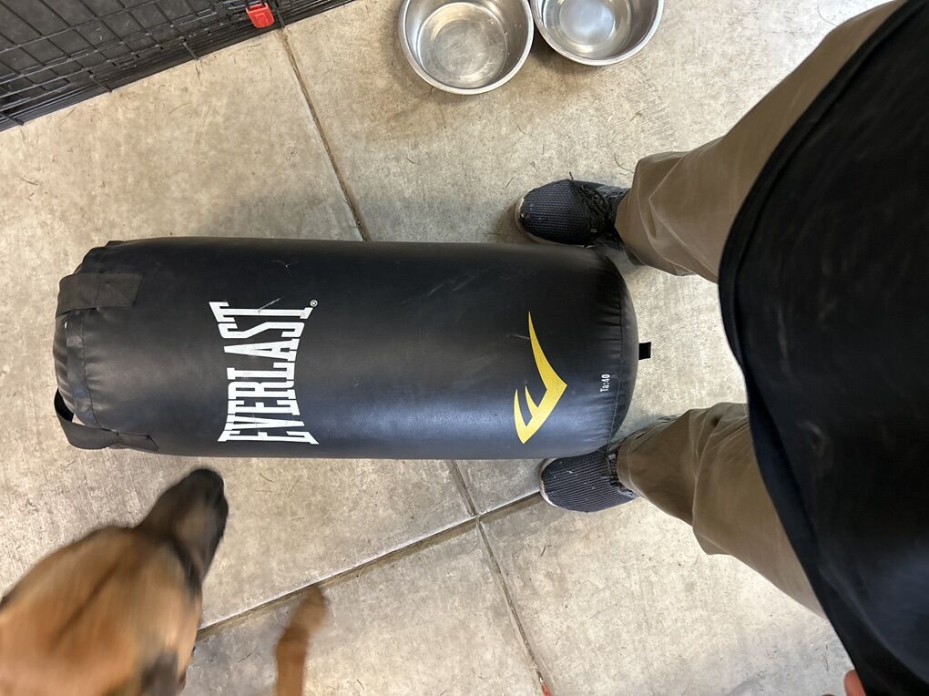 40lb Heavy punching Bag