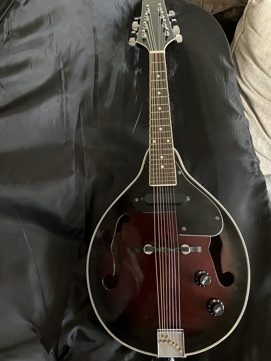 BESTLER M5 ELECTRIC MANDOLIN
