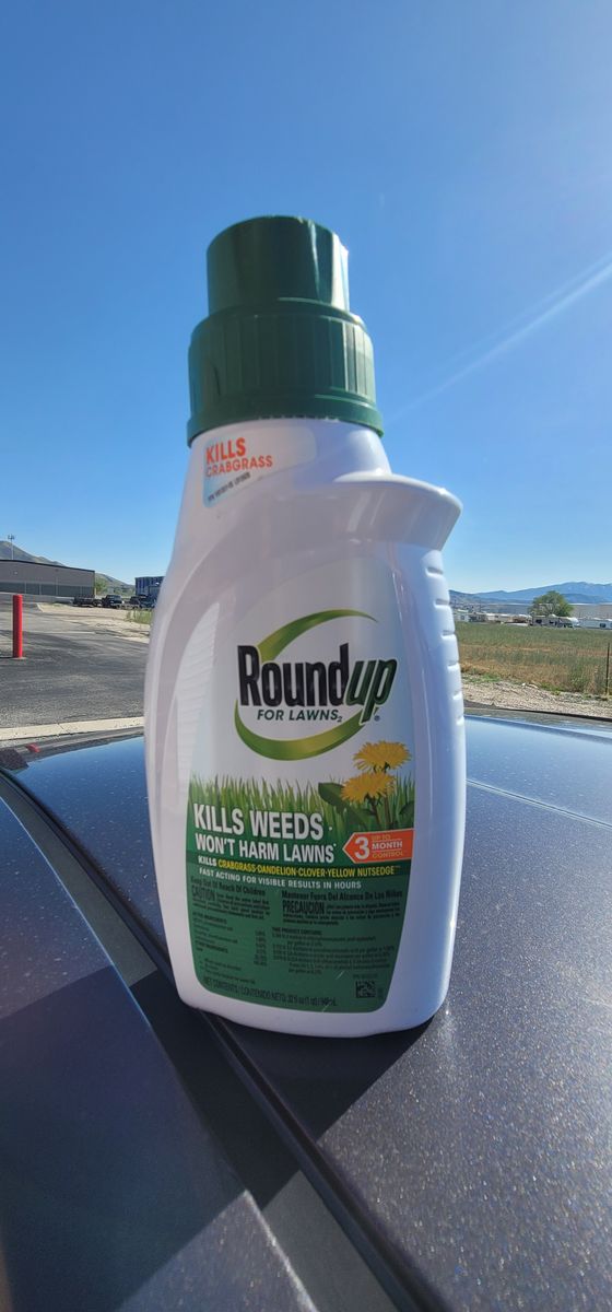 Roundup For Lawns 2-Concentrate 32 fl. oz. Weed Killer for Northern Grasses, Kills Crabgrass, Lawn Weed Killer