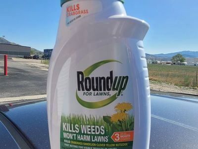 Roundup For Lawns 2-Concentrate 32 fl. oz. Weed Killer for Northern Grasses, Kills Crabgrass, Lawn Weed Killer