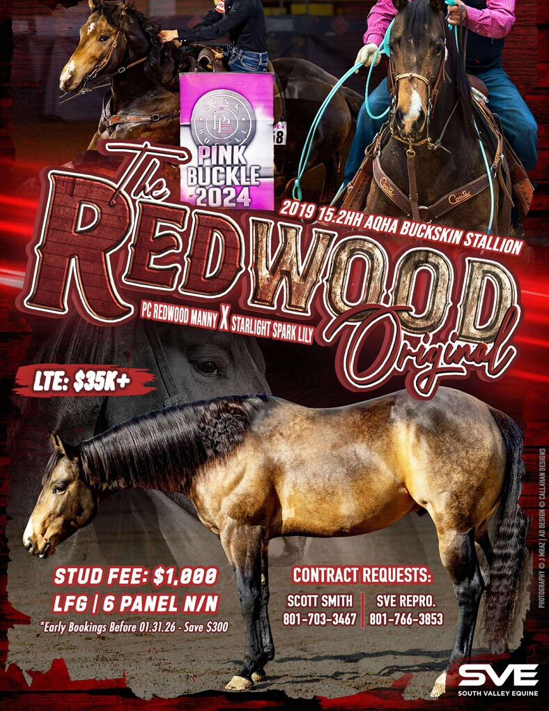 The Redwood Original Stud Horse