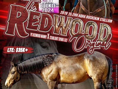 The Redwood Original Stud Horse