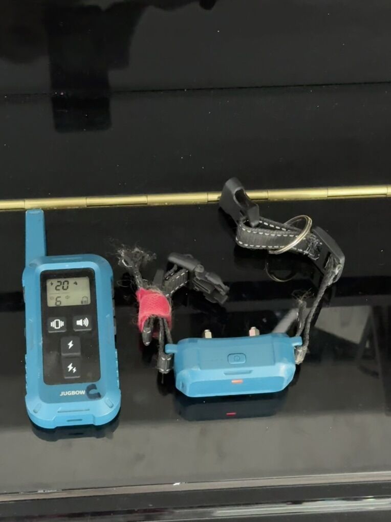 Puppy Ring/Buzz/Shock Collar