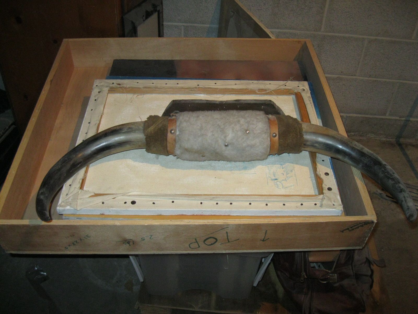 Long Horn Bull Horns