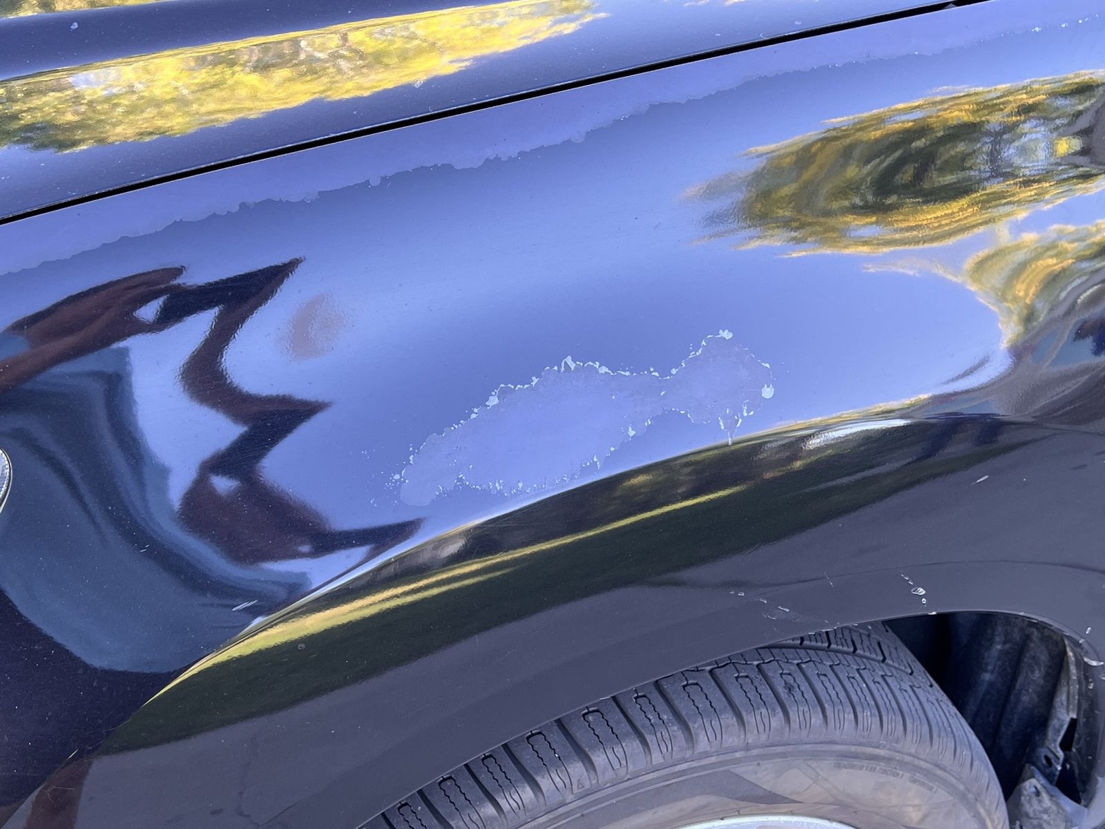 Main image 7