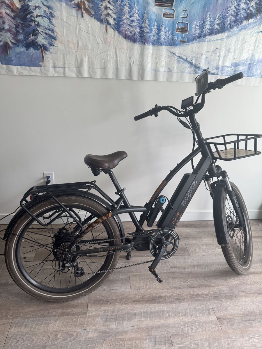 Low Rider 2.0 CPO Cruiser