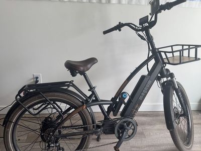 Low Rider 2.0 CPO Cruiser