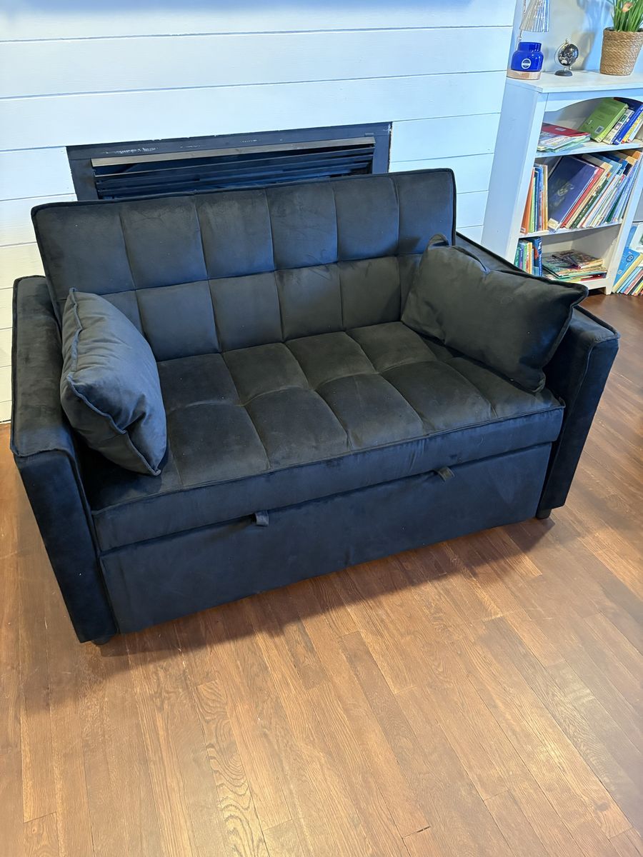 Hison Convertible Sleeper Sofa Bed