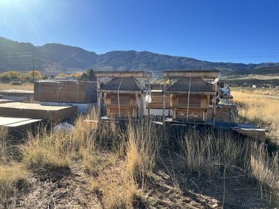 Lumber for sale