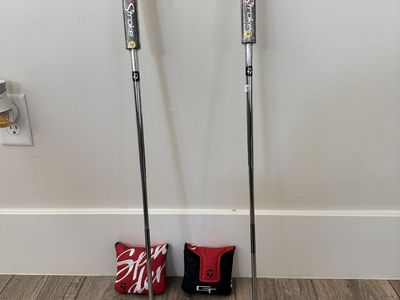 Brand New TaylorMade Spider GT Silver Putter