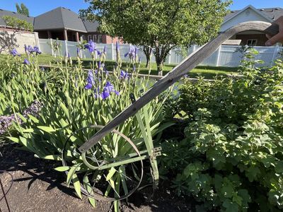 Deluxe Antique Garden Push Wheel Plow/Hoe with Extra Attachment -Yard Art/Decor