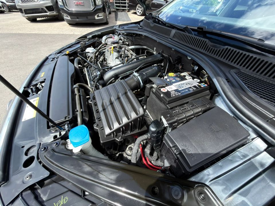 Main image 5