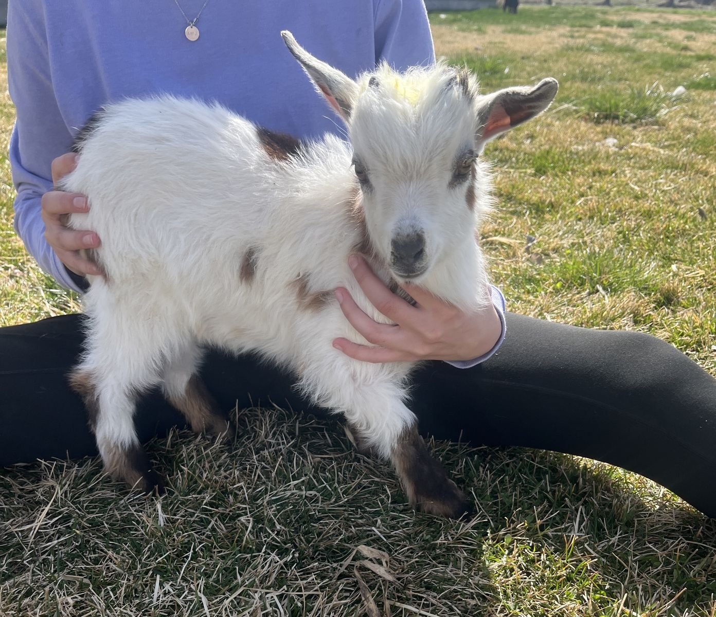 Buckling Bottle Baby