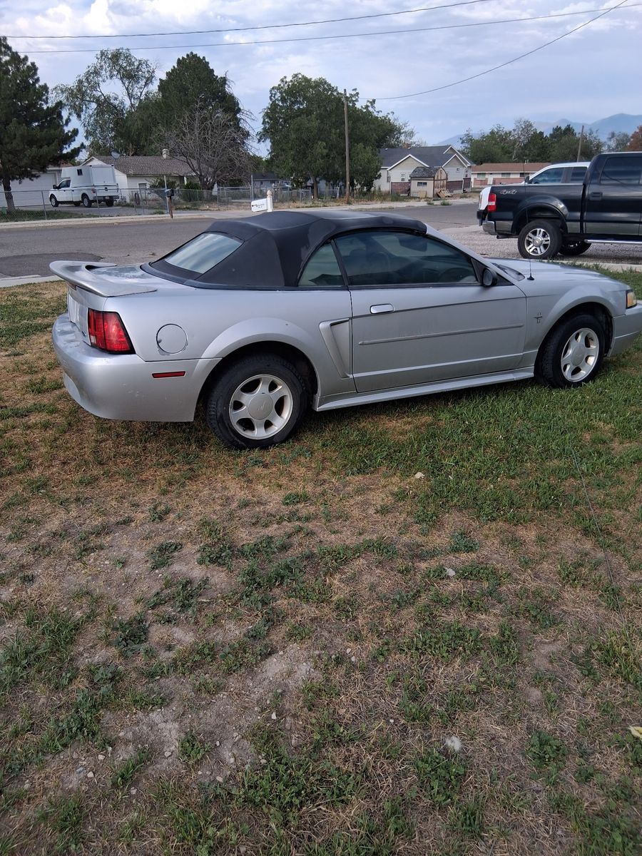2000 Ford Mustang Base