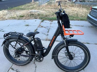 Rad Rover E-Bike