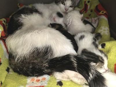 Hello my name is Tilde