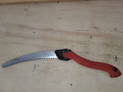 Corona RazorTOOTH pruning saw