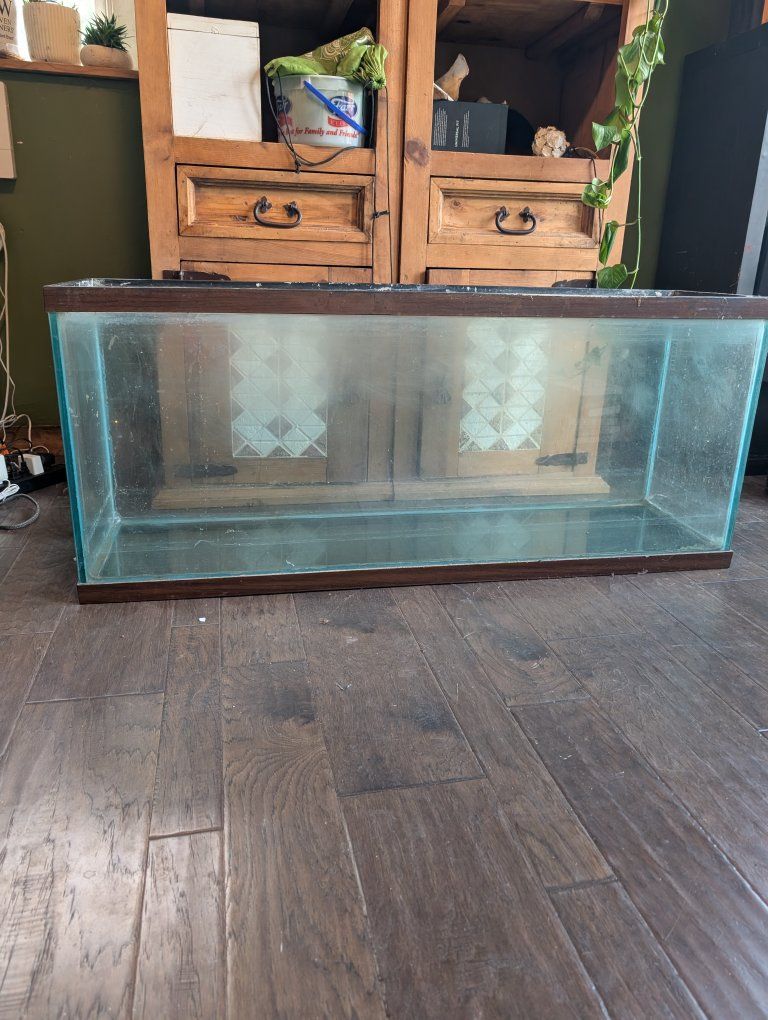 55 gallon tank (sale or trade)